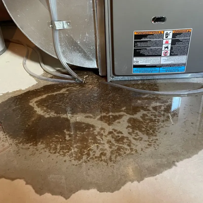 Pipe Burst and Leak Restoration in El Granada, CA